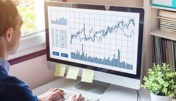 Mann analysiert die Unternehmensbilanz am Computer